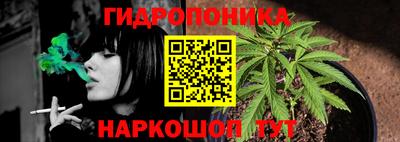 индика Донецк